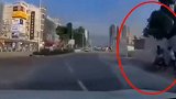 广东：工人迁移大树突然倒塌 路人躲避不及被砸晕