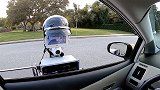 会开罚单的机器人？协助交警检查车辆，不下车也能开罚单！