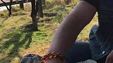 小外孙睡的香甜一份好心情，是人生唯一不能被剥夺的财富。