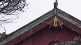 四川迎来2021年的初雪，雪中都江堰美如画#都江堰#雪景