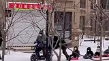 偶遇爸爸们，带一群萌娃玩雪橇！