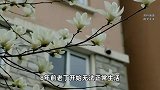 老人去世将房产过户给干女儿，姐姐与侄子拒开死亡证明，当地回应