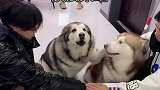 今日结义圆满结束