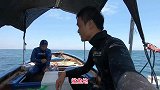 再战鲨鱼海，海底再遇大鱼群，一条名贵大黑金碾压全场！