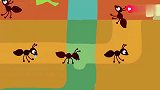 油管上很火的动画《蚂蚁》