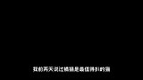 你对橘猫的了解只是皮毛，它已经走向世界了