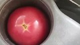 惊不惊喜意不意外西红柿没想到有生之年能拔上火罐