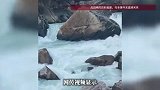 男子在“发疯石”洗茶杯时落水，女友浑身发抖崩溃了：我们马上回去就要结婚的