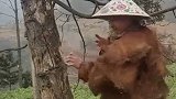从小练就的龙抓手，老婆看到瑟瑟发抖，就怕我抓她