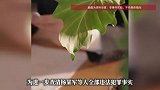 辽宁警方：抓获“大军”、“柏羽”、“二红”等犯罪组织成员