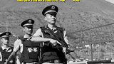 一路走好！11岁退役缉毒警犬滨哒离世