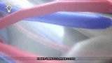 人死后血液为何会消失？3D动画还原全过程，答案一目了然！