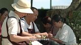 沸腾吧火锅：什么菌子会深受本地人喜爱呢