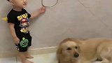 狗狗和宝宝吵架，吵着吵着咋还急眼了呢，这一画面太逗了