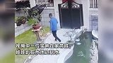 幼童趴水池边玩水，粗心老爸只顾浇花，下一秒意外发生