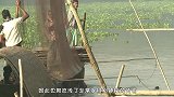 传说中的“水鬼”被人抓住？见到水鬼真容后，让人感觉不可思议