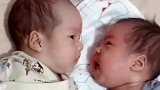 生下双胞胎之后，总是一位宝宝比较调皮，就这样眼睁睁看着弟弟哭