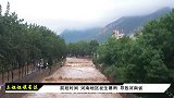 王一博河南救灾被批作秀？韩红谦卑回应获央媒力挺：别让爱心寒心