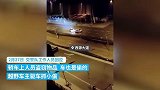 成都街头越野车来回追撞小轿车，交警：车主抓小偷