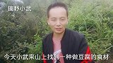 小武找一种能做豆腐的果实你们见过吗?做豆腐很好吃十几年没吃了
