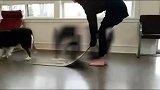 呆萌宠物搞笑时刻