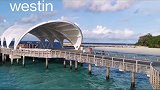 有没有一种海岛悉尼歌剧院的感觉-马尔代夫westin