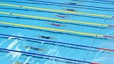 27秒35！刘湘50米仰泳破纪录夺冠
