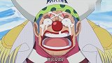 《海贼王》巴基遇见白胡子，居然会这样？初生牛犊不怕虎！