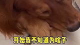 人类是最善良的了