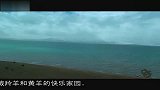 西藏旅游 错那湖-青海西藏列车上观高原神湖