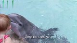 小宝宝盯着海豚老半天，下一秒海豚竟然敢偷亲，画面好玩了