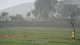 帝陵：咸阳修路时发现一段夯土墙，随后安陵陵园重现人间