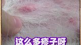 原来让狗窝放地上，这么容易生病