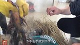 农民王小：姑爷来了吃笨鸡，回忆小时候的苦日子，幸福就在当下