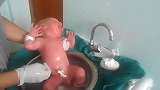 新生儿宝宝第一次洗澡还不太适应，哭的歇斯底里，让人好心疼！