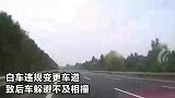 司机任性违规变道被猛撞，失控旋转180度，车头严重损毁
