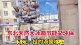 东北天然大冰箱节能又环保