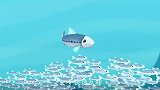 海底小纵队：呱唧想要和沙丁鱼切磋一下驾驶技术