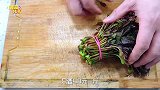 香椿焯水等于浪费食材，大厨教您用椿炒泥鳅，学会技巧炒啥啥香！