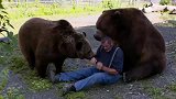 男子将重达一千多斤的灰熊当宠物养，家里一共养了11只