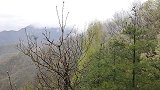 自驾秦岭牛背梁，两次偶遇云海奇观，这或许就是自驾秦岭的魅力吧