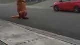 可爱小恐龙，这谁顶得住啊