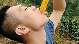上山去表姐家坐客，看到姐夫一口吞下去的蜂巢，馋得我直流口水！