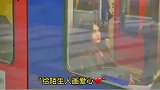 路人街头试探画爱心，你如果看到爱心会是什么反应
