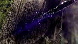 动漫：阎王帖的威力太强，一时三刻时年就没了