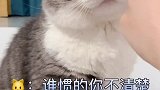 半夜不让人睡觉了？