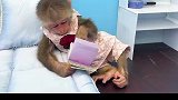 小猴子比比拆礼物，这大概就是最幸福的时刻吧！手动艾特男朋友