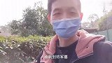 拜谒陈再道将军夫妇合葬墓，大儿子被执行死刑，二儿子是富翁！