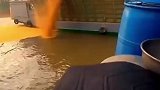 富贵险中求，风浪越大鱼更贵