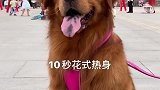 10秒花式热身